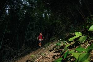 BIB: 
                            <button type="button" onclick="openModal(28141866)" class="btn btn-primary btn-sm float-right btn-popup" data-toggle="modal" data-target=".modal-high-quality">
                        <i class="fas fa-shopping-cart"></i> Add to Cart
                    </button>
                                            <button type="button" onclick="isThisMe(28141866, true)" class="btn btn-success btn-sm float-right btn-popup btn-isme hidden" data-toggle="tooltip" data-placement="bottom" title="นี่คือรูปของคุณใช่ไหม คลิกที่นี่เพื่อเอาเข้าอัลบั้ม">
                        <i class="fas fa-plus"></i> Add to album
                    </button>
                    <button type="button" onclick="isThisMe(28141866, false)" class="btn btn-warning btn-sm float-right btn-popup btn-isnotme hidden">
                        <i class="fas fa-ban"></i> Remove from album
                    </button>